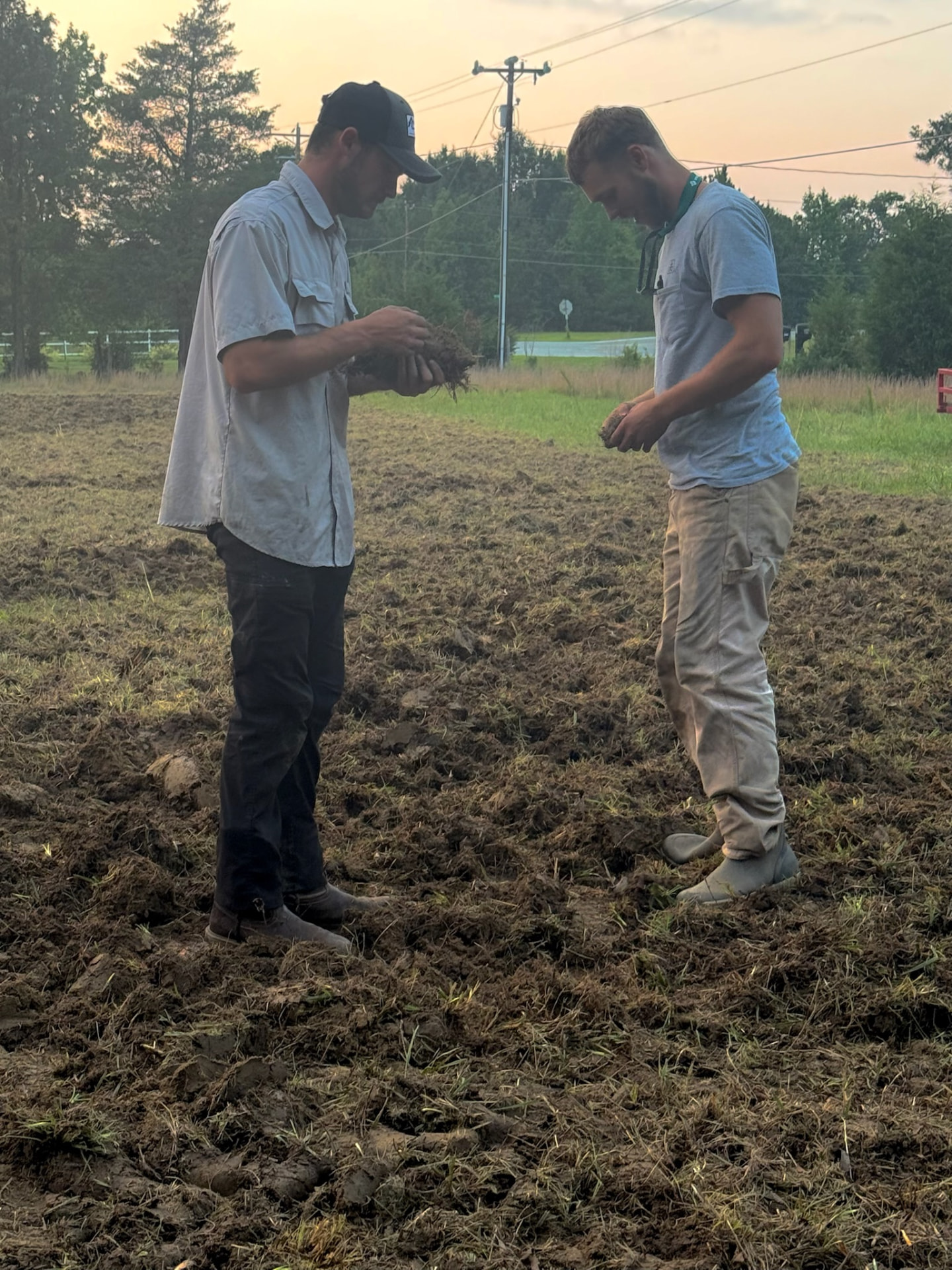 Two 215 Farms founders inspecting handfuls of freshly turned soil