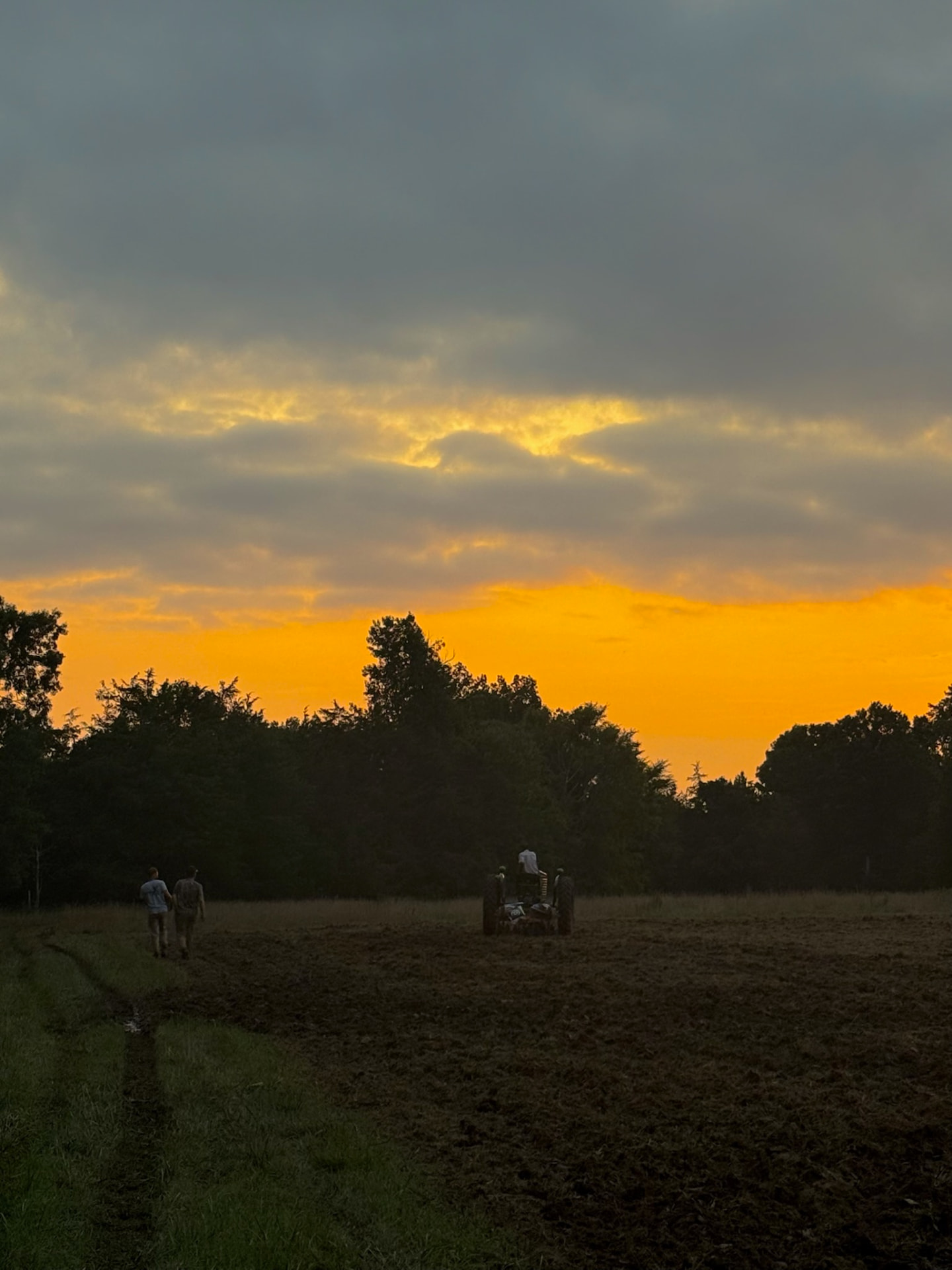Farmers walking toward a tractor plowing a field under an orange North Carolina sunset